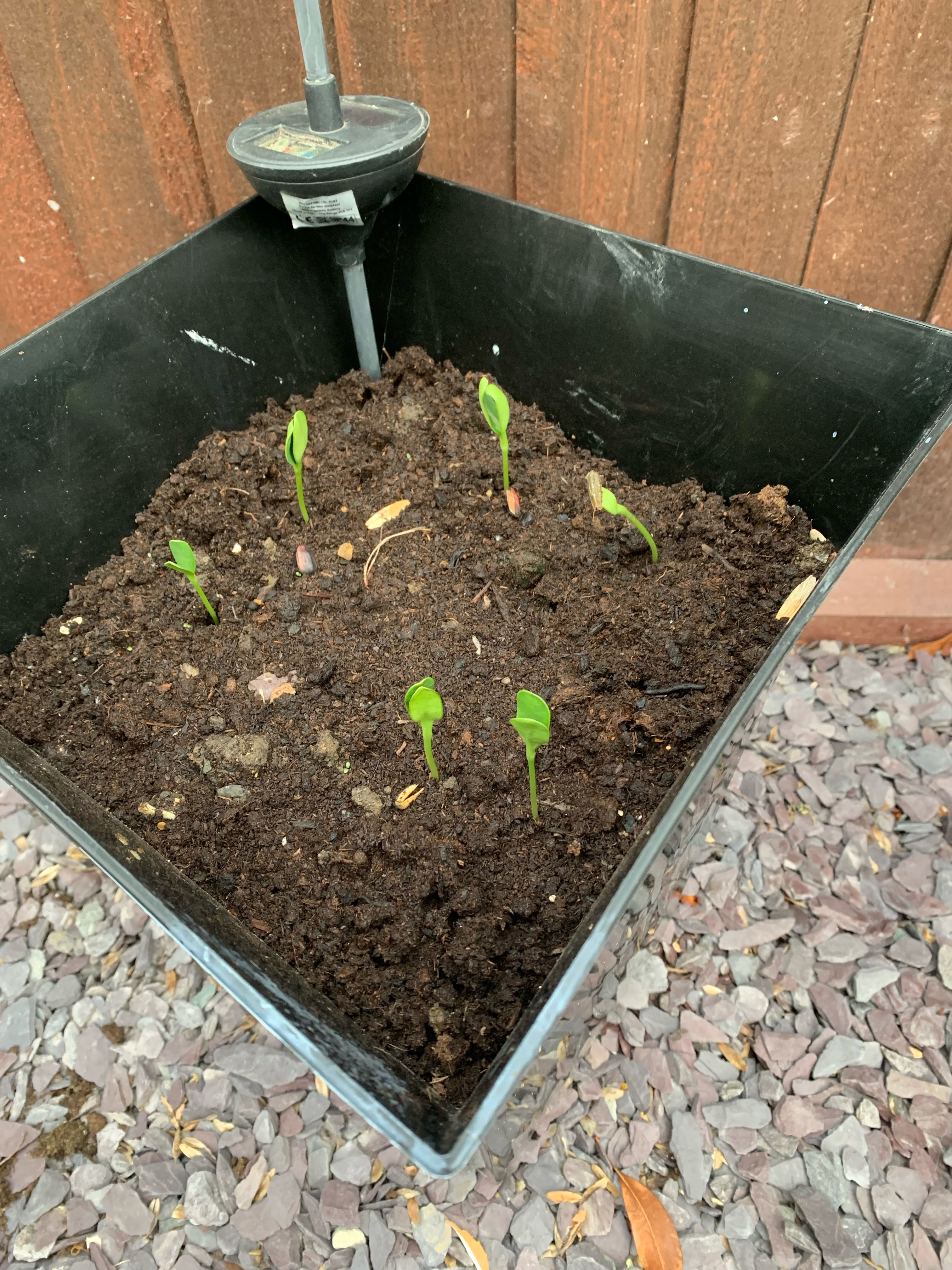 Claire - One week in.