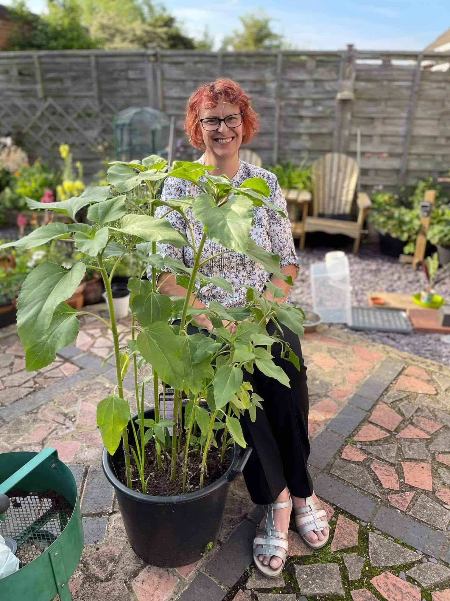 Geraint O - Sunflower selfie