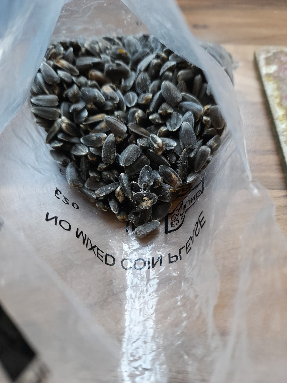 Emma B - Finally seeded. 3 were eaten by a squirrel but I've loads for next year to feed an army of squirrels.