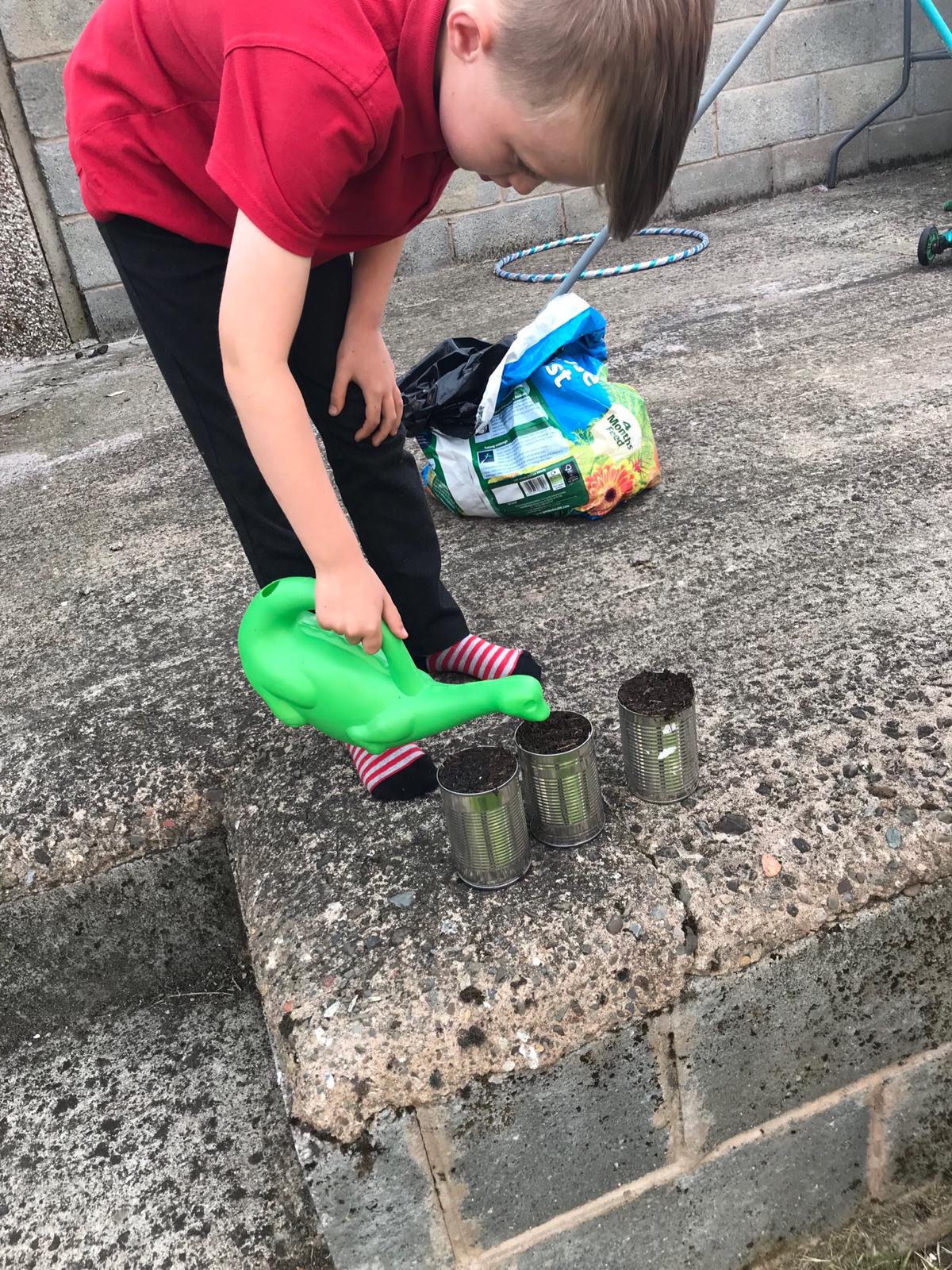 Geraint O - Sunflower selfie