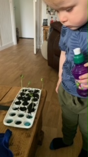 Geraint O - Sunflower selfie