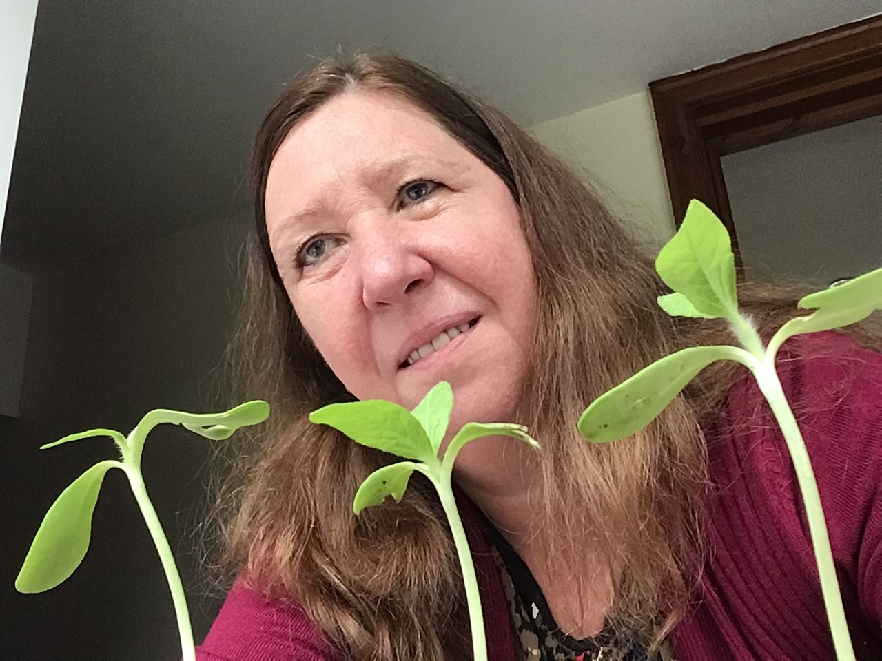 Mally G - My seedlings