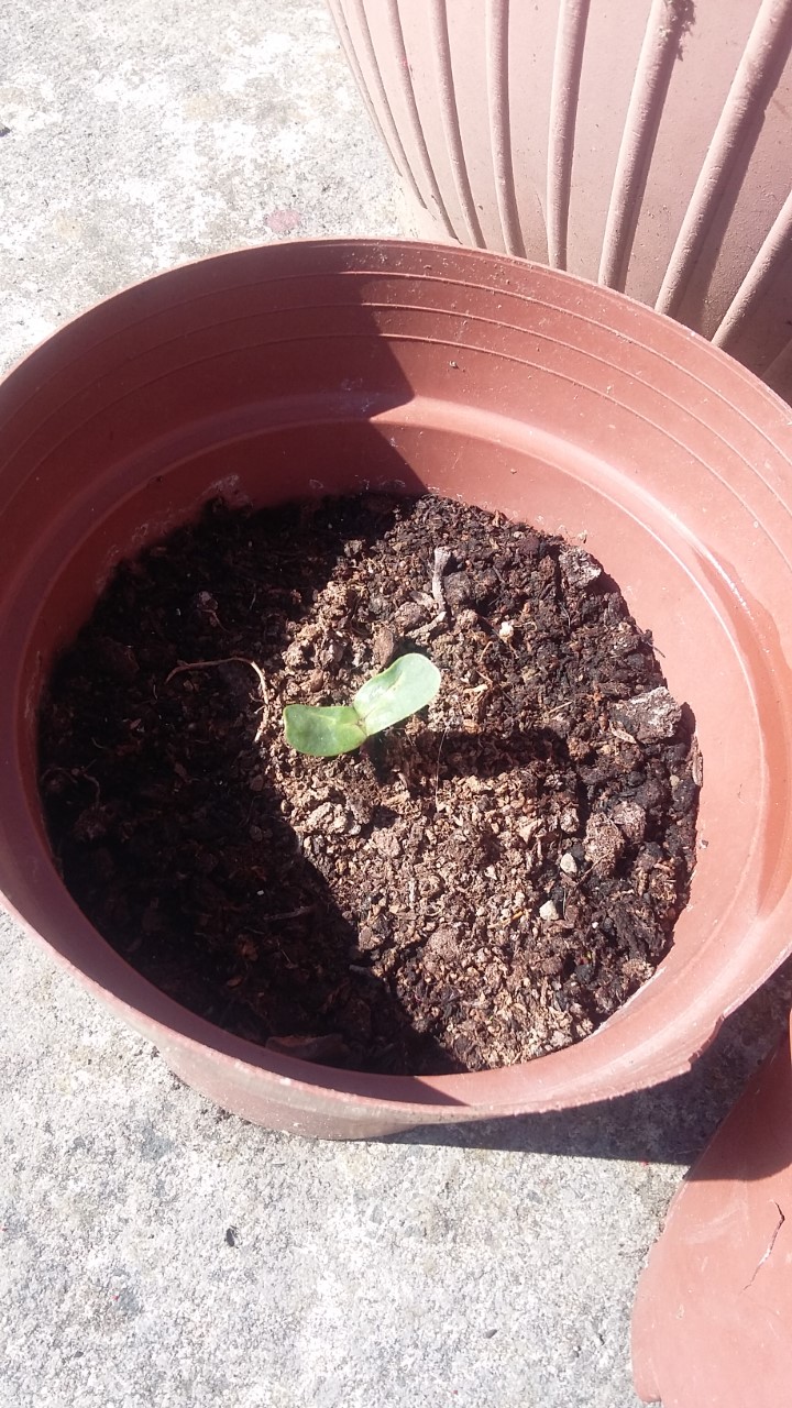 Margaret D - Very proud of myself lol!!!!