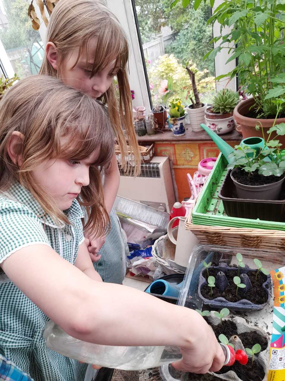 Geraint O - Sunflower selfie