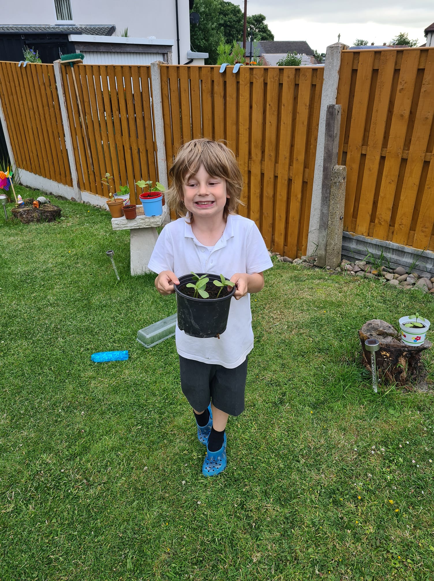 Geraint O - Sunflower selfie