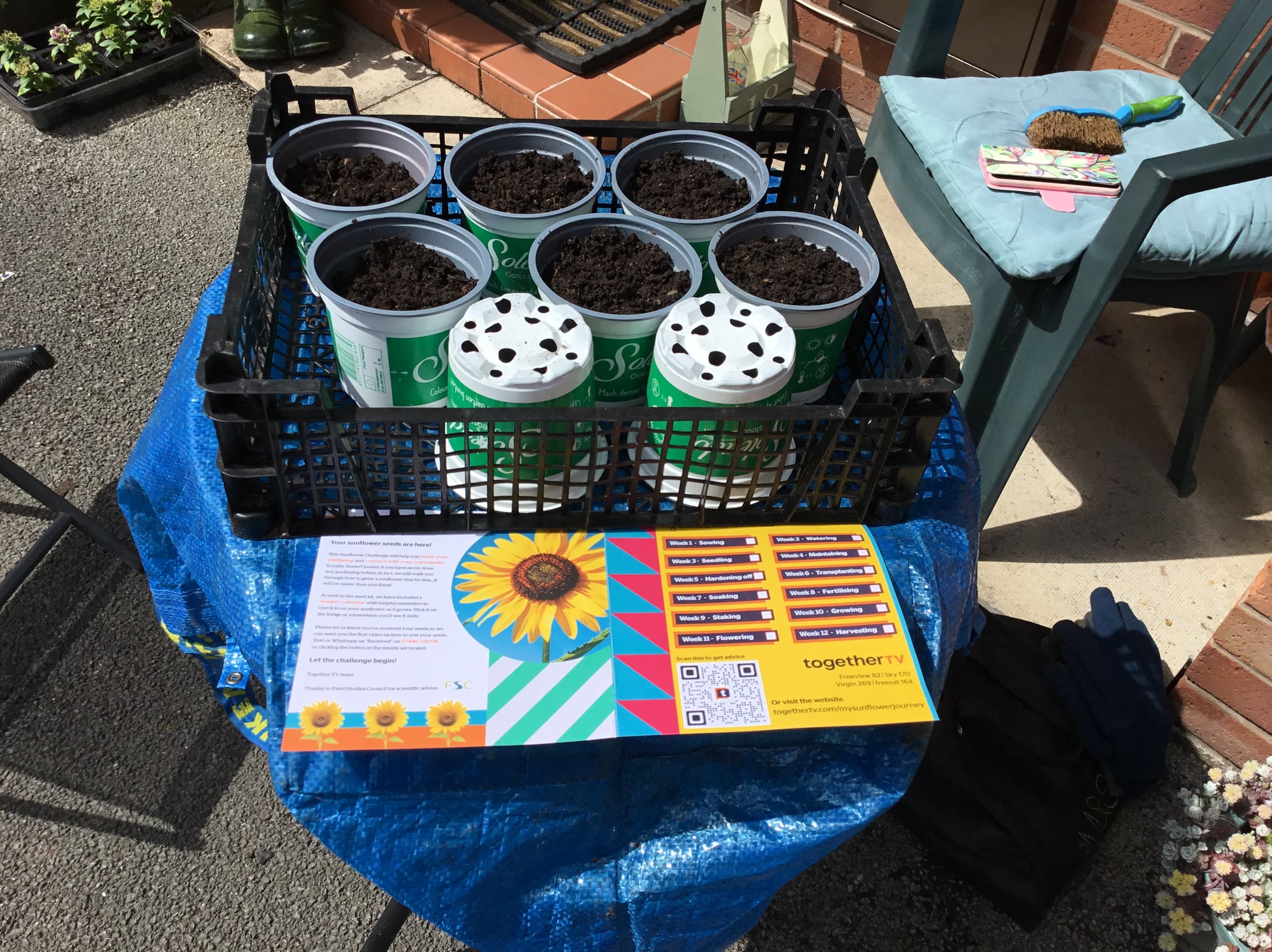 Geraint O - Sunflower selfie