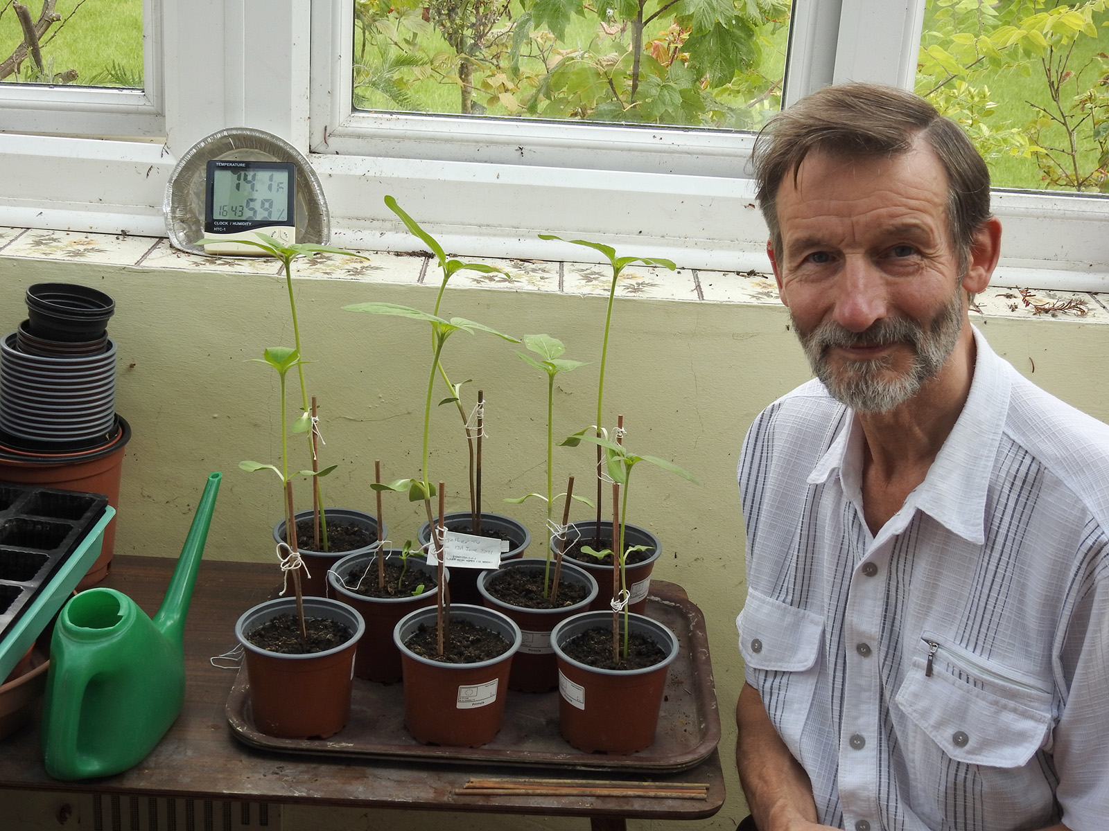 Geraint O - Sunflower selfie