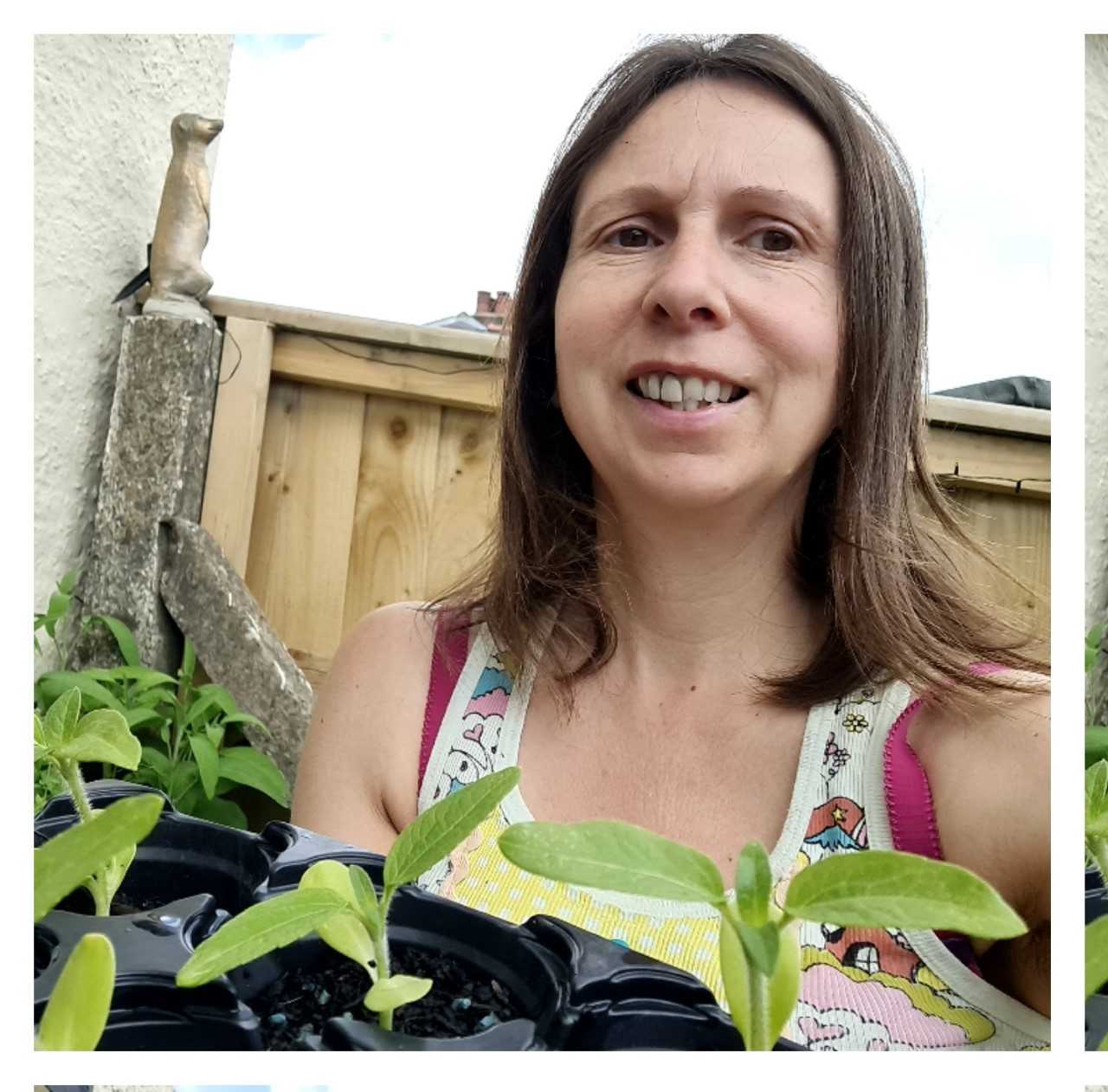 Geraint O - Sunflower selfie