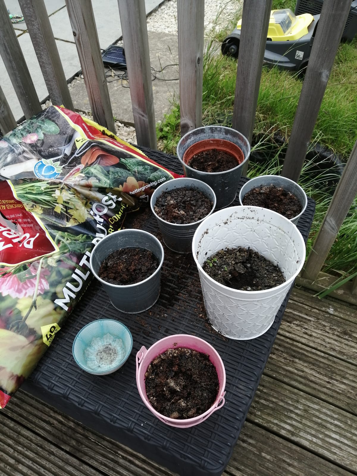 Geraint O - Sunflower selfie